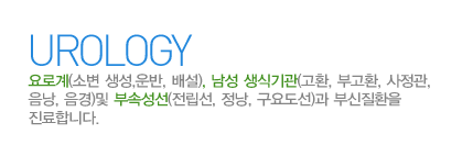 비뇨기과란?
요로계 (소변 생성,운반, 배설),남성 생식기관(고환, 부고환, 사정관, 음낭, 음경) 및 부속성선(전립선, 정낭, 구요도선)과 부신질환을 진료합니다.