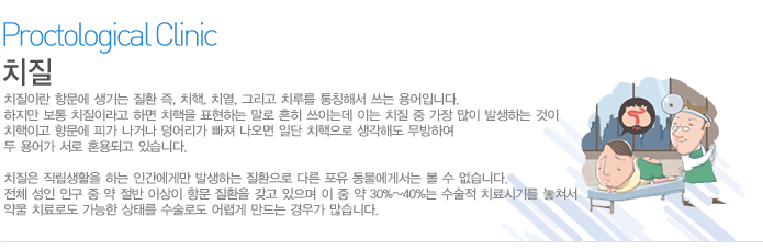 치질이란 항문에 생기는 질환 즉, 치핵, 치열, 그리고 치루를 통칭해서 쓰는 용어입니다. 하지만 보통 치질이라고 하면 치핵을 표현하는 말로 흔히 쓰이는데 이는 치질 중 가장 많이 발생하는 것이 치핵이고 항문에 피가 나거나 덩어리가 빠져 나오면 일단 치핵으로 생각해도 무방하여 두 용어가 서로 혼용되고 있습니다.
치질은 직립생활을 하는 인간에게만 발생하는 질환으로 다른 포유 동물에게서는 볼 수 없습니다. 전체 성인 인구 중 약 절반 이상이 항문 질환을 갖고 있으며 이 중 약 30%~40%는 수술적 치료시기를 놓쳐서 약물 치료로도 가능한 상태를 수술로도 어렵게 만드는 경우가 많습니다.