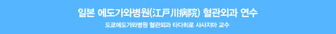 일본 에도가와병원 혈관외과 연수